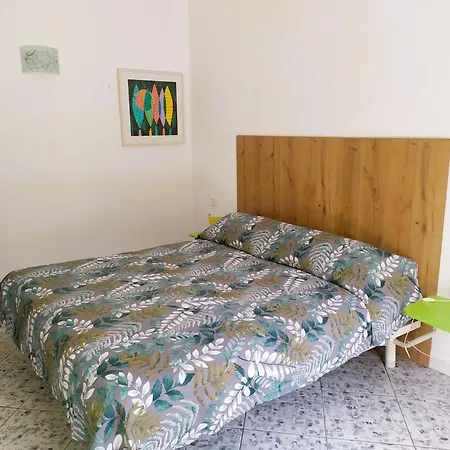 Casa Corbezzolo 3* プロッキオ