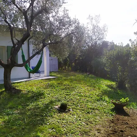 Casa Corbezzolo プロッキオ