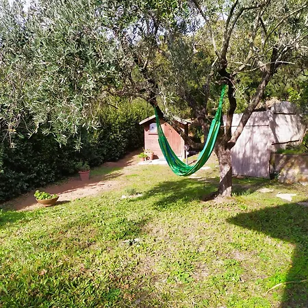 Casa Corbezzolo プロッキオ